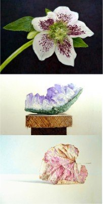 Angela Garrod - 3 images