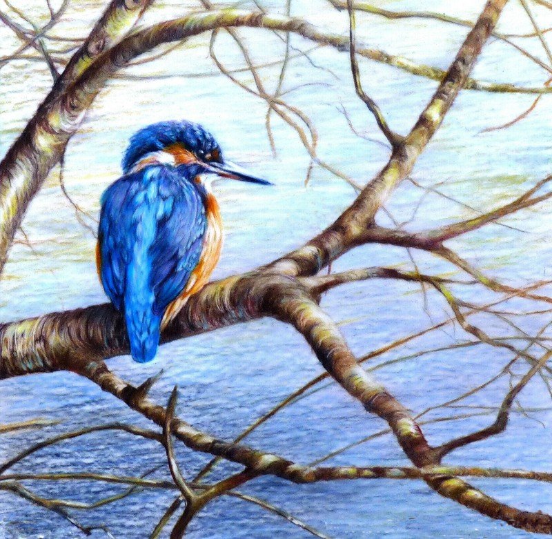 Ann Squire : Aqua Avem